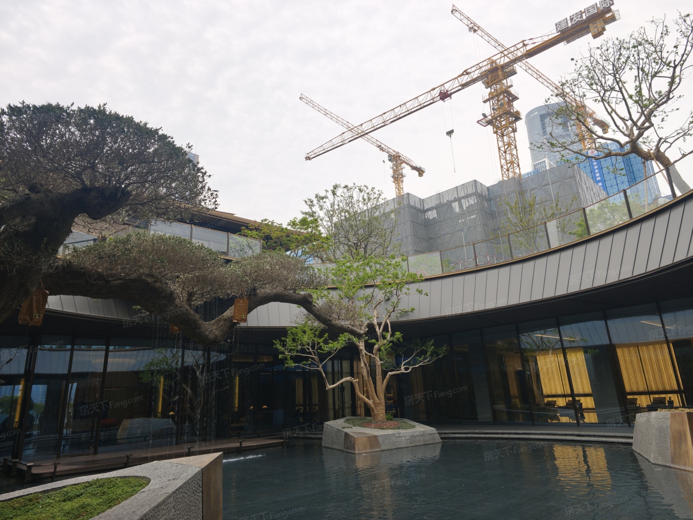 实景图:IMG_20250411_110341