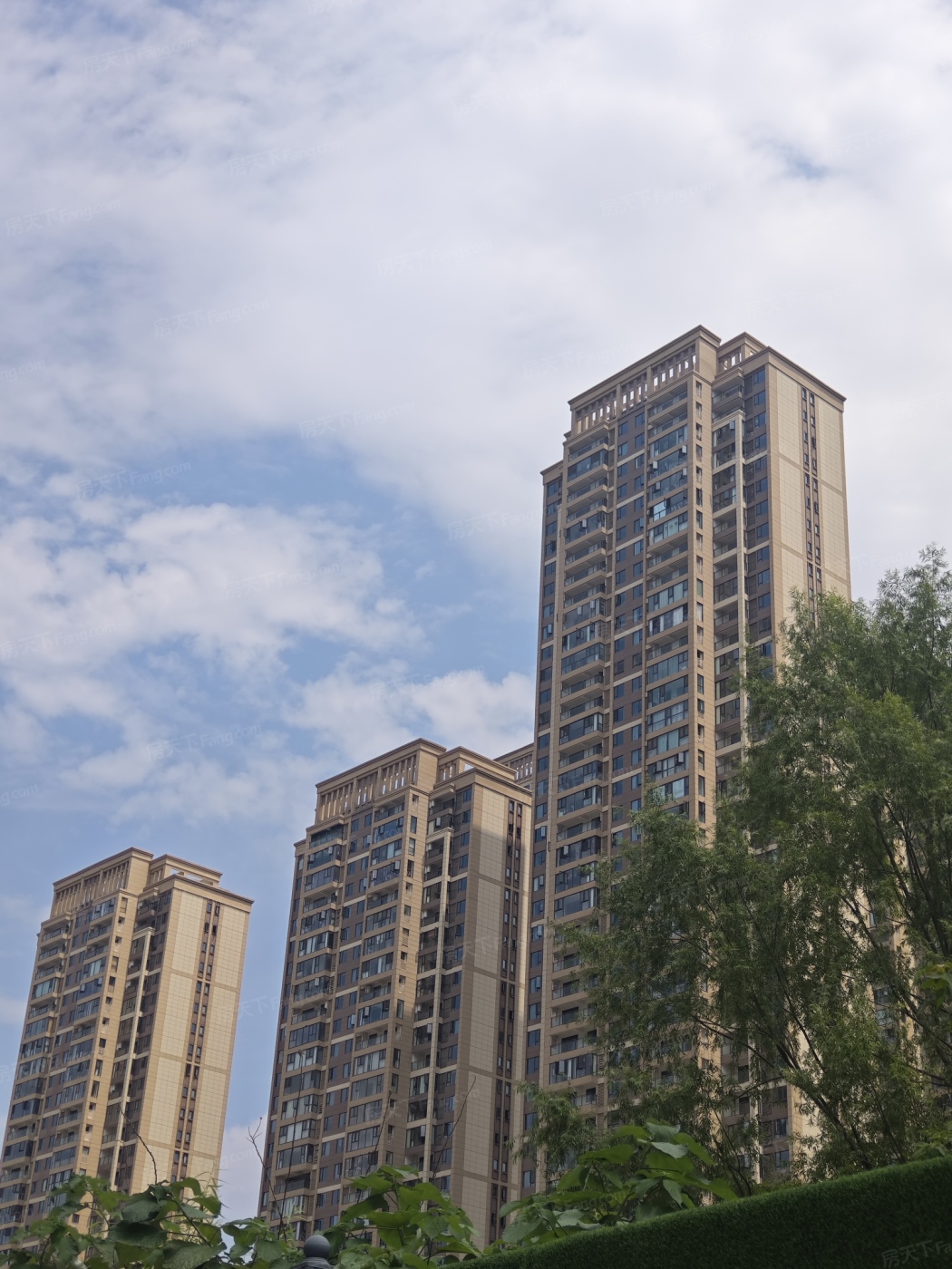 实景图:IMG_20250520_110849