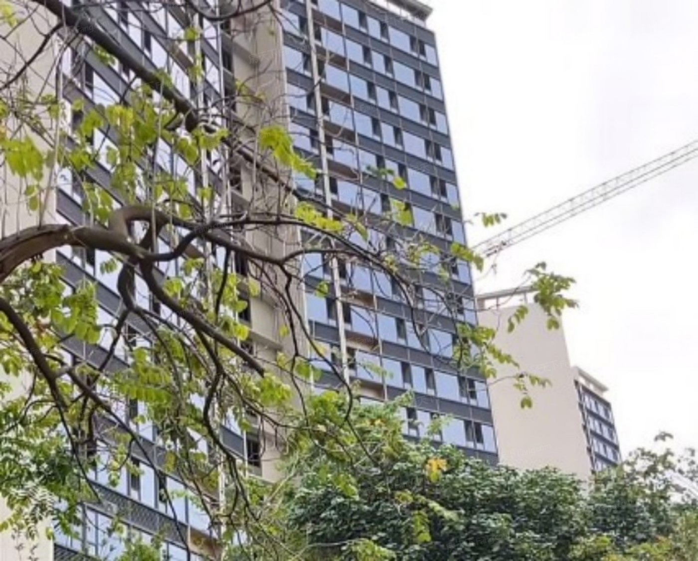 三世同堂？2025年06月东莞寮步的这些品质三居是你不错选择！