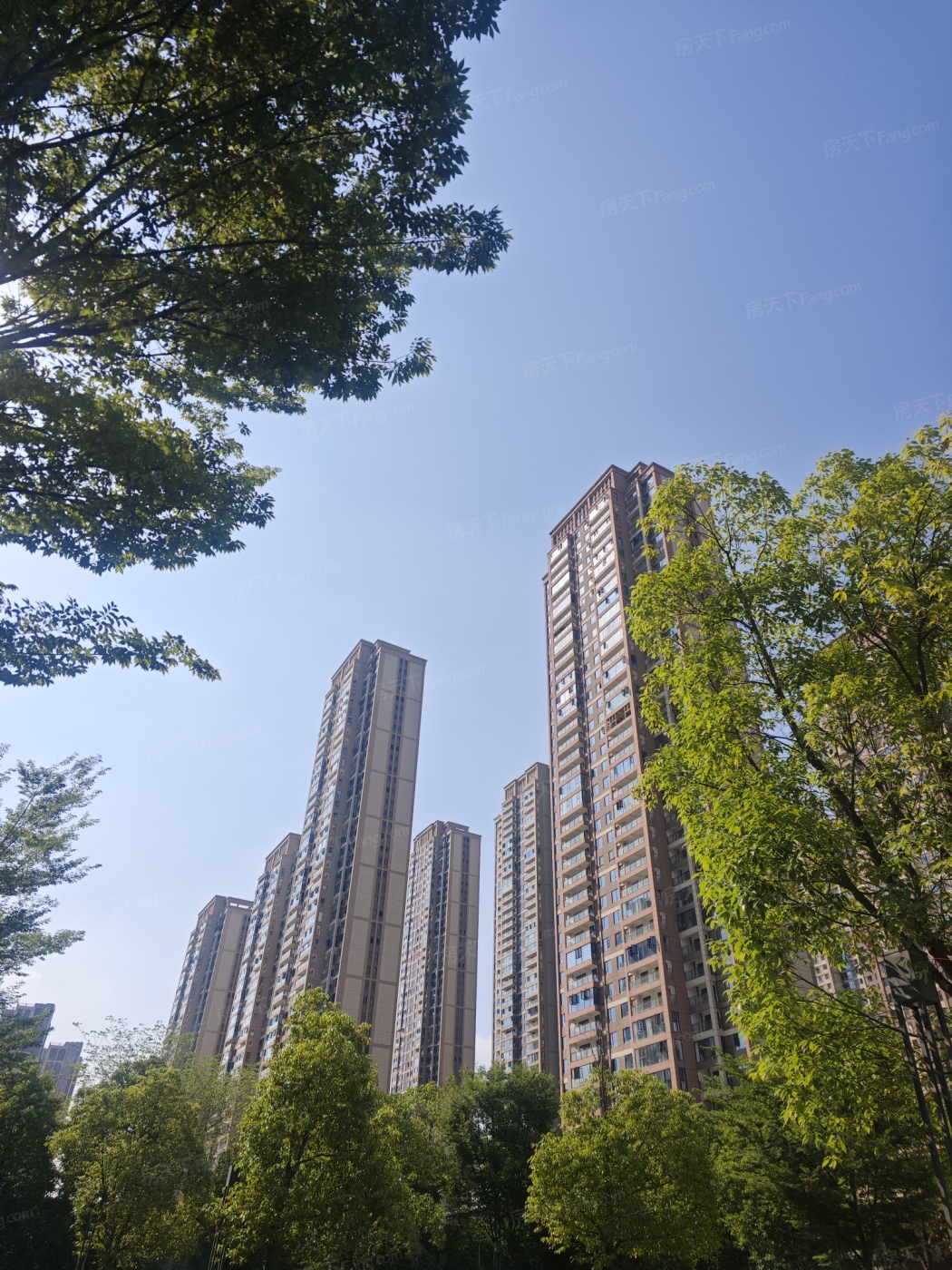 实景图:IMG_20250529_153202