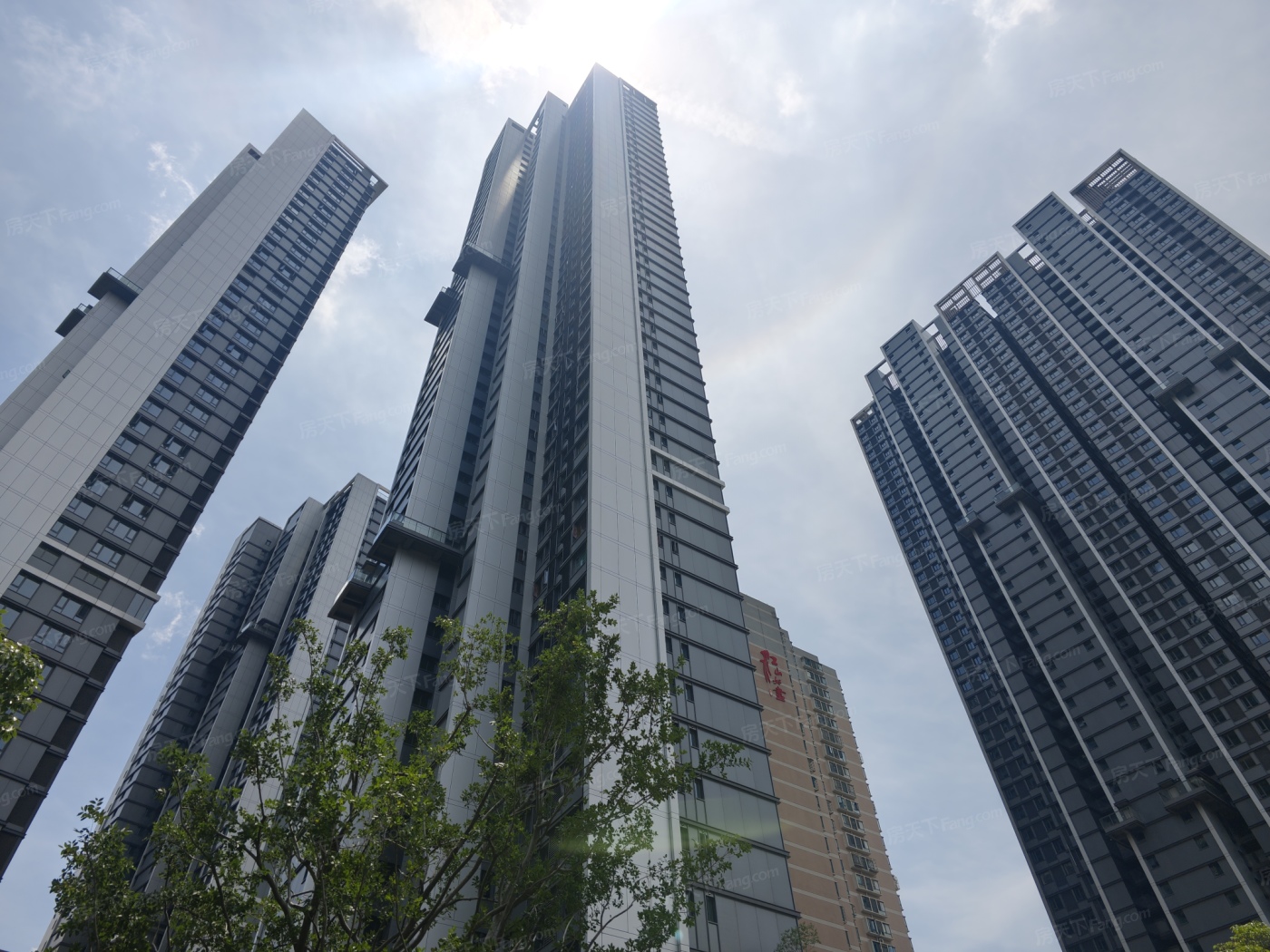 实景图:IMG_20250530_114442