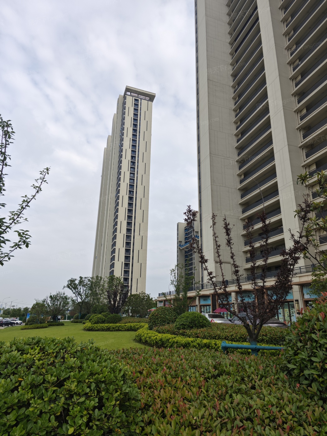 实景图:IMG_20250612_154753