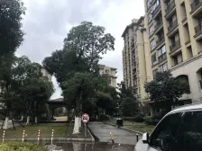 电梯房,顶楼复式,视野开阔,楼上有房间