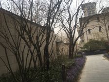 丽泽桥西宸原著 南北通透三居 小区中间前后冲花园