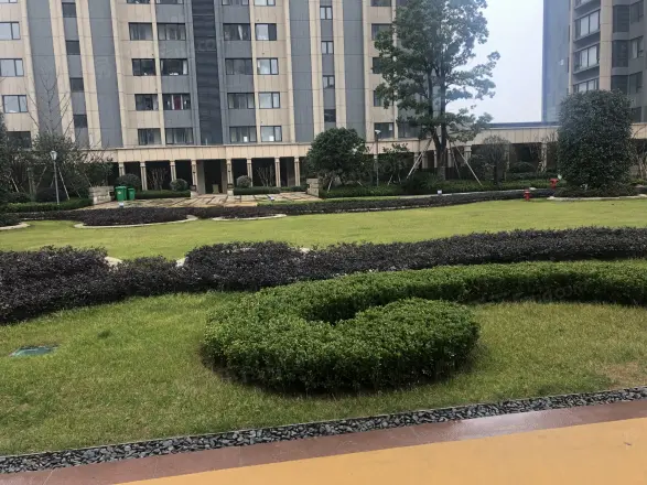 宏泰风花树