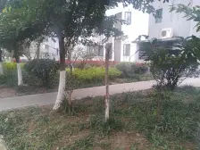 和谐家园(沙坪坝) 3室1厅 西南