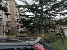 业主诚心出售,朝向好,楼层好,采光好