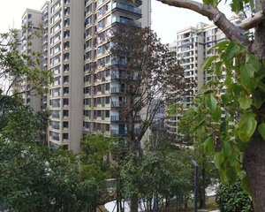 福天藏郡1室1厅南