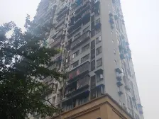 和谐家园(沙坪坝) 1室1厅 东南