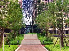 华润紫云府二期 4室2厅 南 北