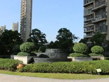 公园6号电梯房人车分流房龄新·2室·1厅