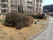 红星海三期领墅 5室2厅 南 北