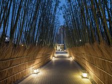 新希望锦麟府4室2厅西南