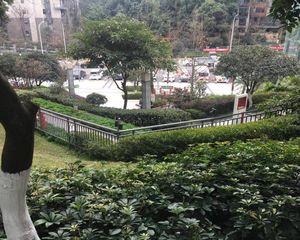 精装修完全拎包入住,通透户型,住家安静带家具家电