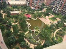 公园6号电梯房 人车分流 高楼层 · 3室 · 2厅