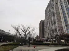 合景领峰 2室1厅 东