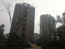 经典两居室 精装修保养好 满五唯一 靠地铁方便