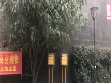 观音桥 蚂蝗梁云鼎阳光二房92万