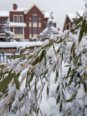 雪后实景