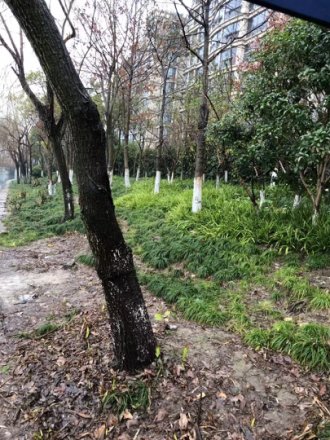普福公寓