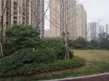 尹山湖地铁口的品质小区,保利悦玺,毛坯两房,诚售