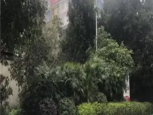 观音桥 蚂蝗梁云鼎阳光二房78万