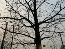 寺儿沟 电梯房 跃层 适合陪读 养老 过渡