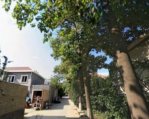 八仙别墅,把西边大双拼,满五唯一,北侧小区花园