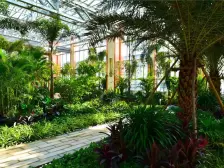 电梯房,公摊小,视野开阔朝,南北户型小区环境优美