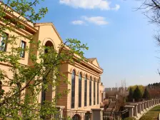 轻轨旁世外桃源 上下复式 前后院 精装修有车位免高税