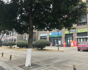 锦城南府 1室1厅 南