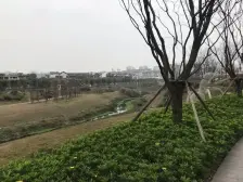 漫山合院,好位置,全款无抵押,诚心出售