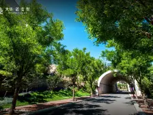 大华诺斐墅 6室3厅 南 北