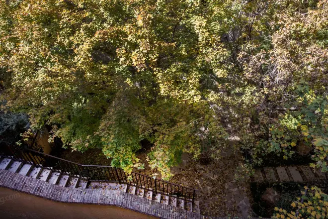 阳光100阿尔勒实景图