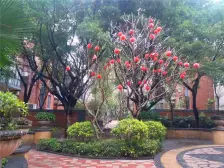 万科高尔夫花园大两房,朝南,诚意出售