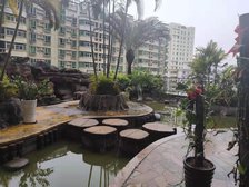 中间楼层看小区花园配套齐全生活便利