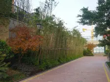 空港新城 中国摩一期三房