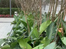 户型方正+轻轨旁+次新小区+安静+楼层好+门口商圈