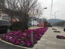 鱼洞轻轨站六十多万买大三房