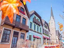 莱茵小镇,洋房顶跃,房主自住房,精致家装