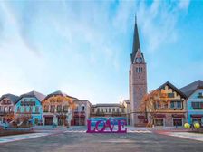 万科莱茵小镇 2室2厅 南 北