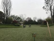 恒大西辰绿洲 3室2厅 东南