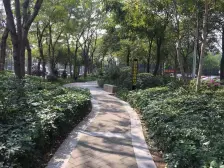 中高楼层 南向安静舒适 阳台无遮挡 张槎地铁站600米