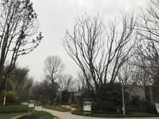 恒大西辰绿洲二期 2室2厅 东南