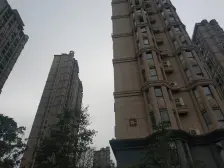 小区一梯一户 新力物业 价格美丽