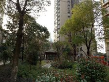 房东诚心出售,交通便利,澄碧湖公园,有天然气