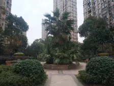 幸福时光五期毛坯复式楼拓展面积大价格好商量