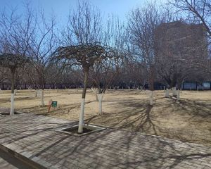 内蒙古农大东区住宅楼 2室1厅 南 北