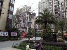小区环境优美,出入方便,采光好视野好