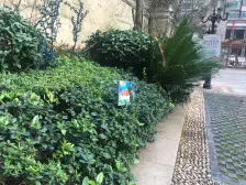 满五年唯一带落地阳台正规两居室.可以拎包入住 看中可议价